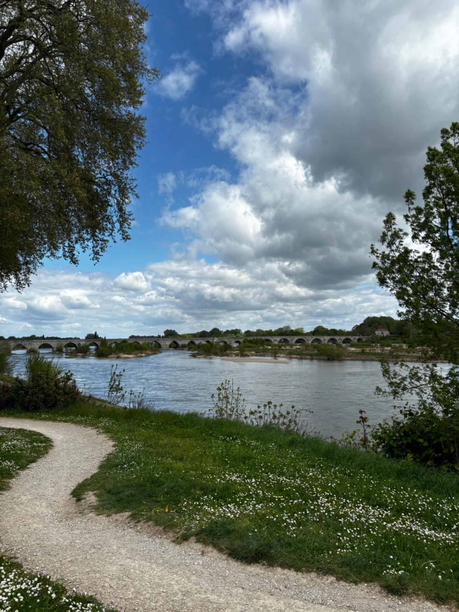 Studio Vue Sur Loire Божансі Екстер'єр фото