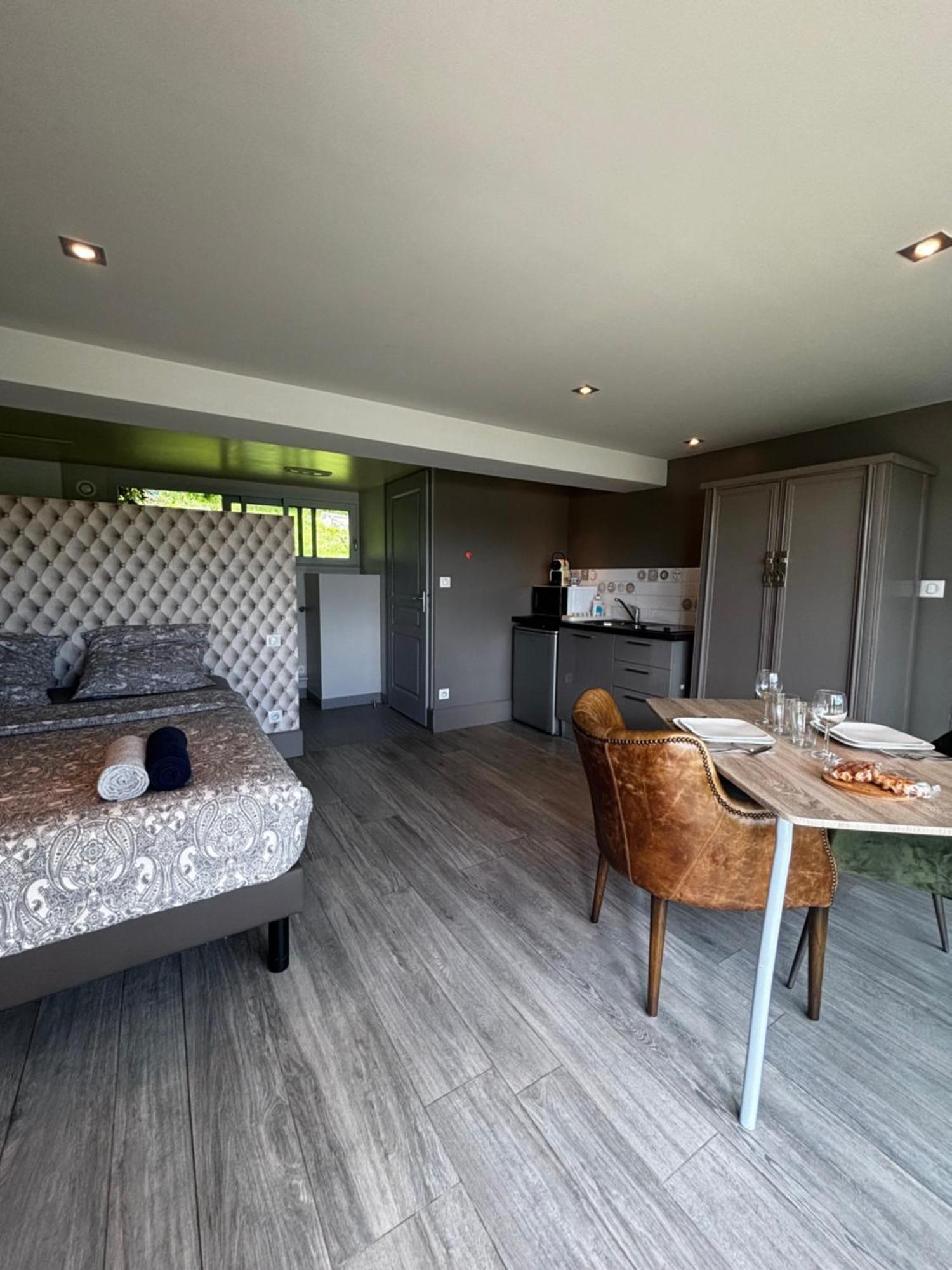 Studio Vue Sur Loire Божансі Екстер'єр фото